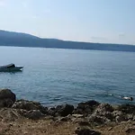 Zarko