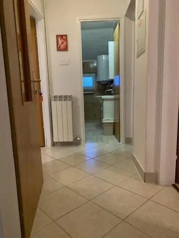 Zarko *